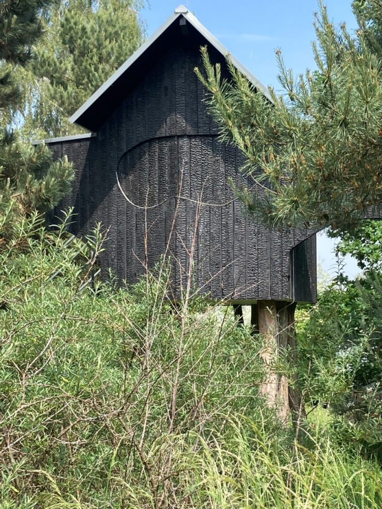 Yakisugi / Shou Sugi Ban Tea house in Neuss from Terunobu Fujimori