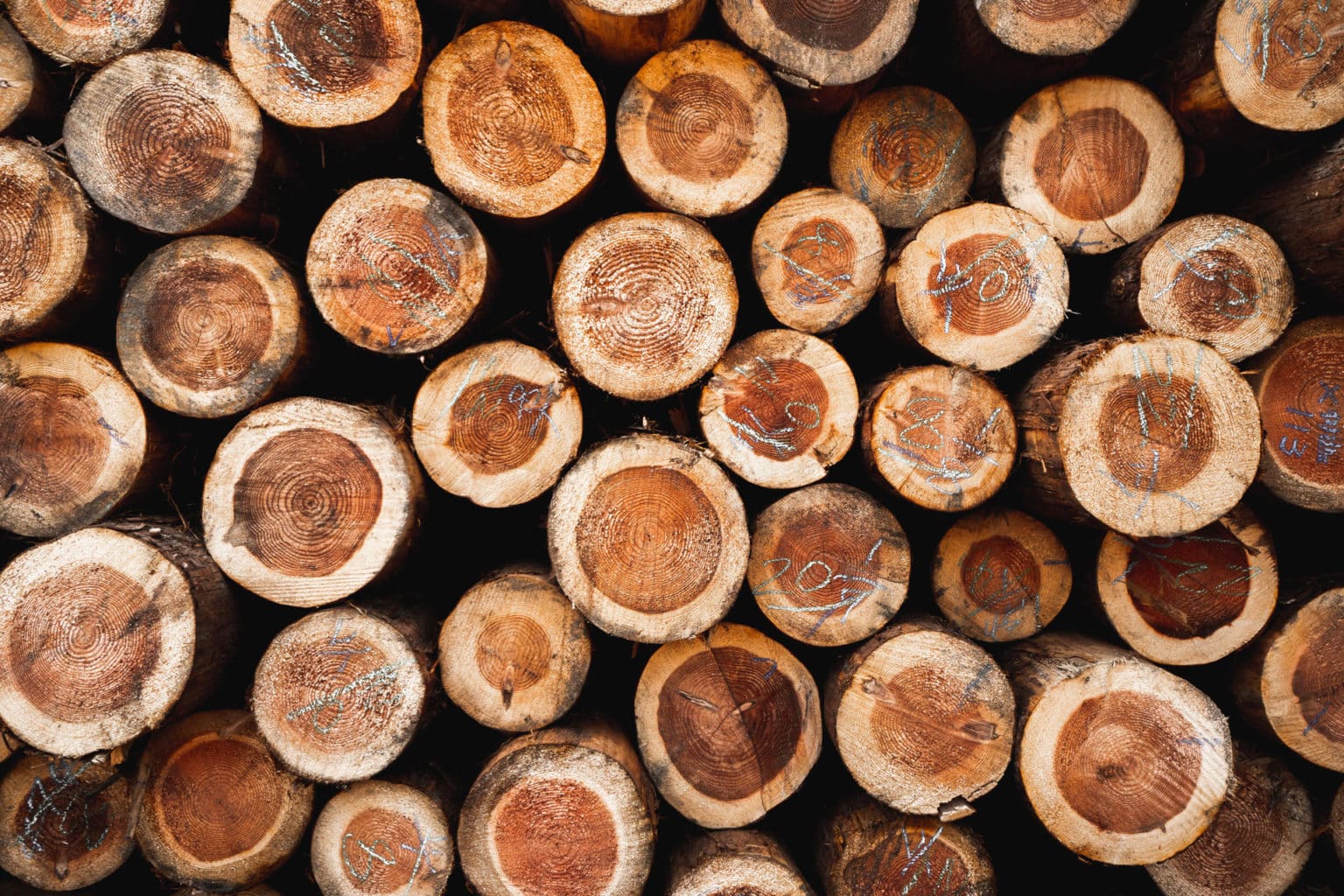 Burnt Wood Cladding: Charred Timber Facades from Japan