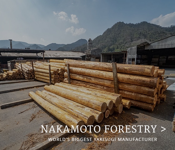 View on Nakamoto headquarter site with timber logs and mountains