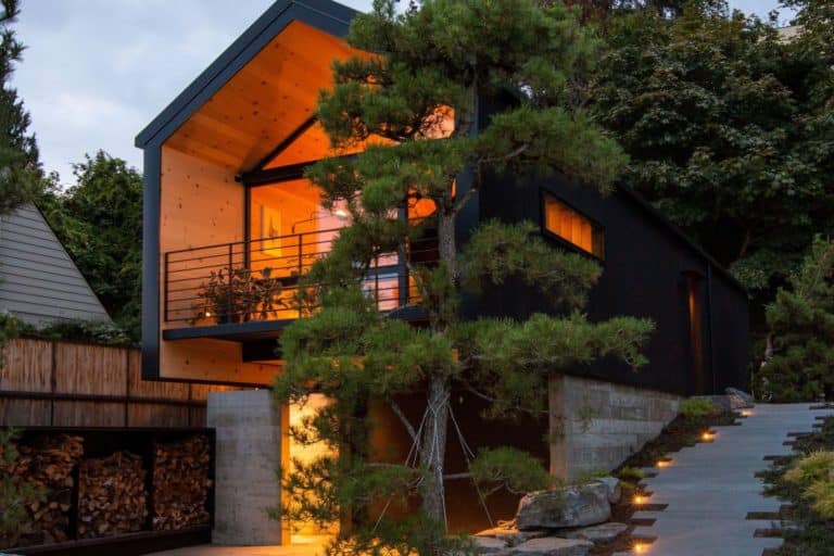 Dark boathouse surrounded by trees